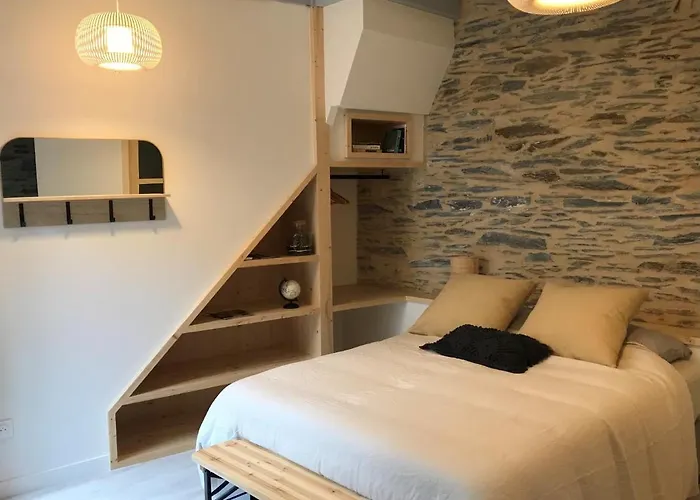 La Maison Du Cocher - Studio Climatise En Hypercentre