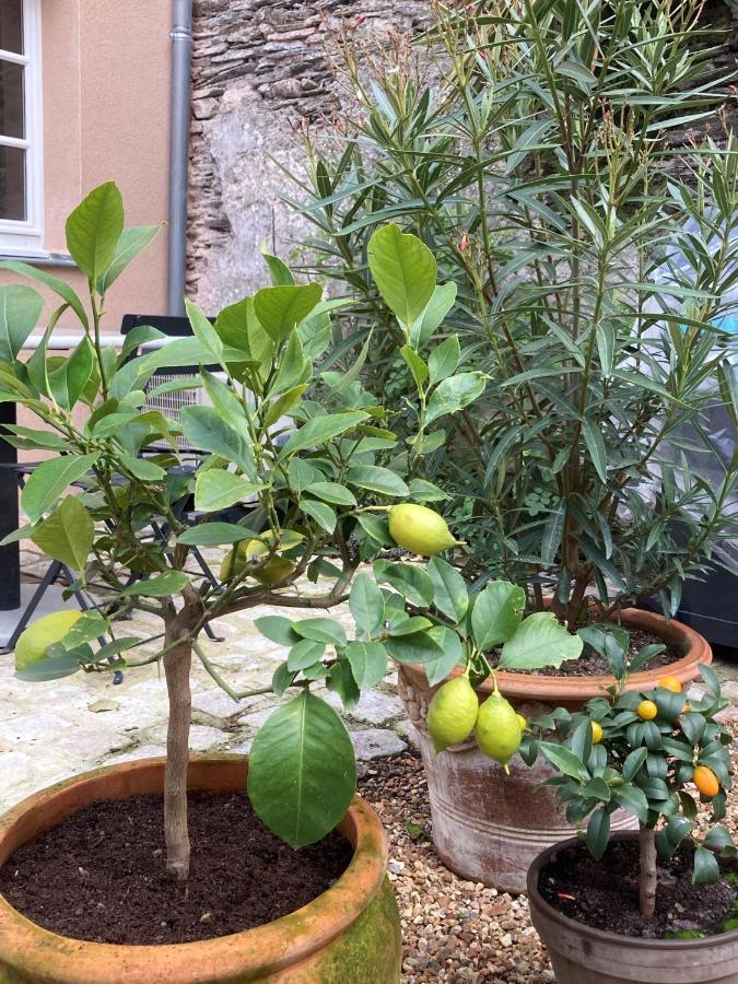 La Maison Du Cocher - Climatisé En Hypercentre Angers
